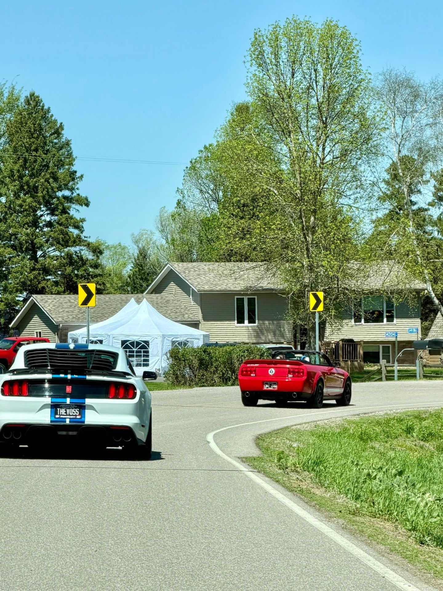 2026 Mustang Run photo 3