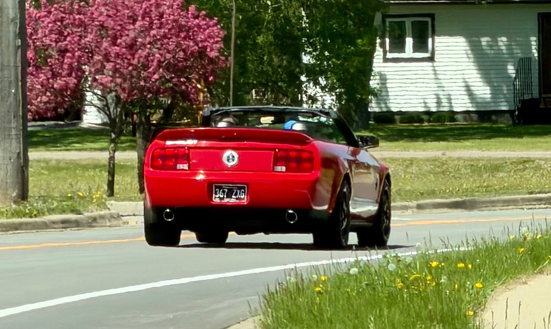 2026 Mustang Run photo 8