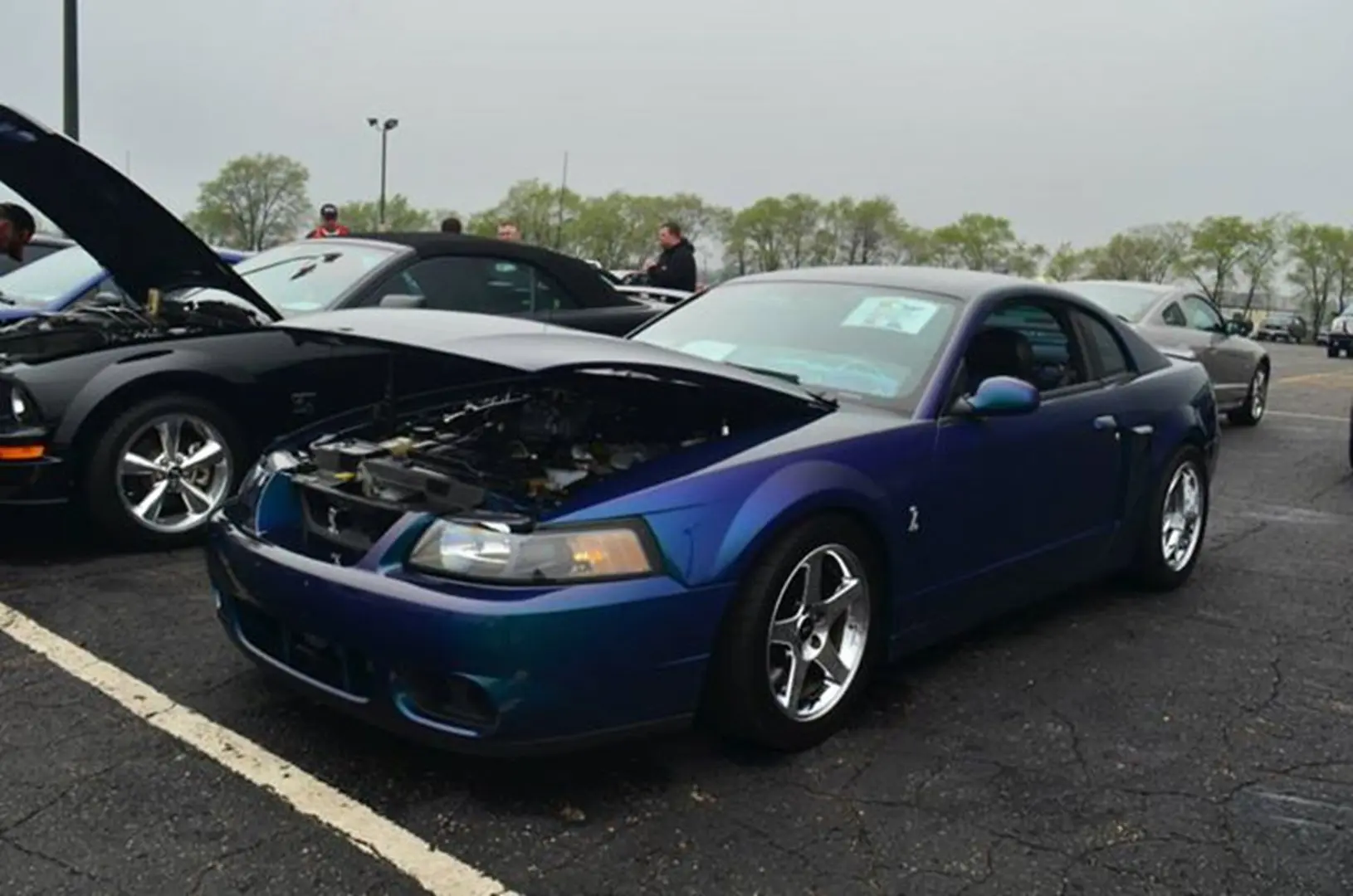 Parked cars at a car show