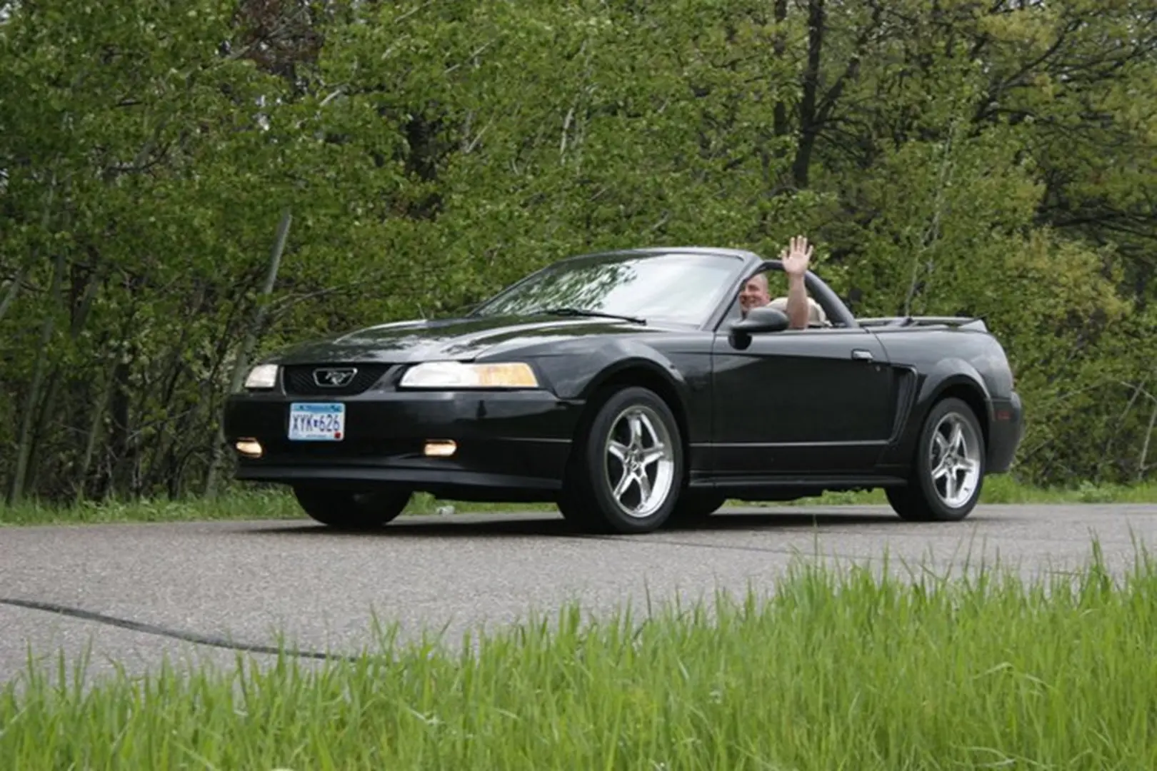 Car driving through lush greenery