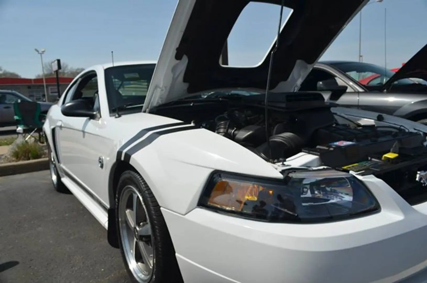 White vehicle at outdoor car event