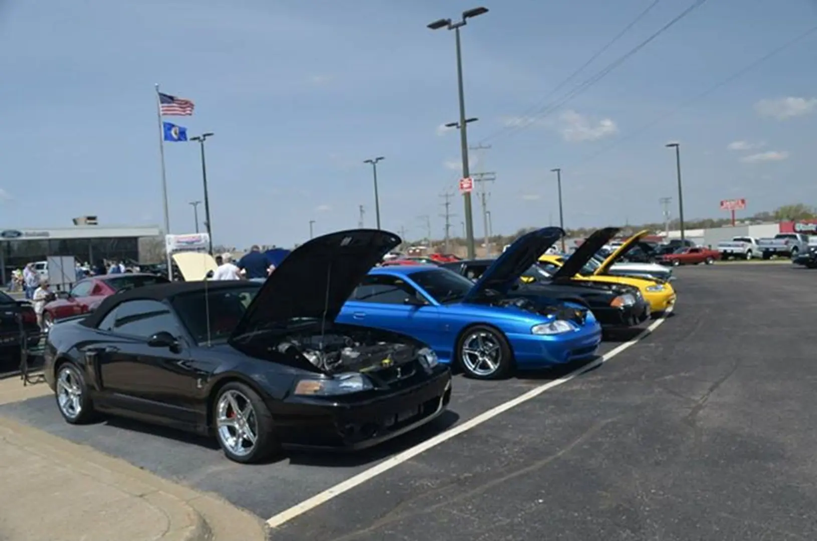Colorful cars lined up with open hoods