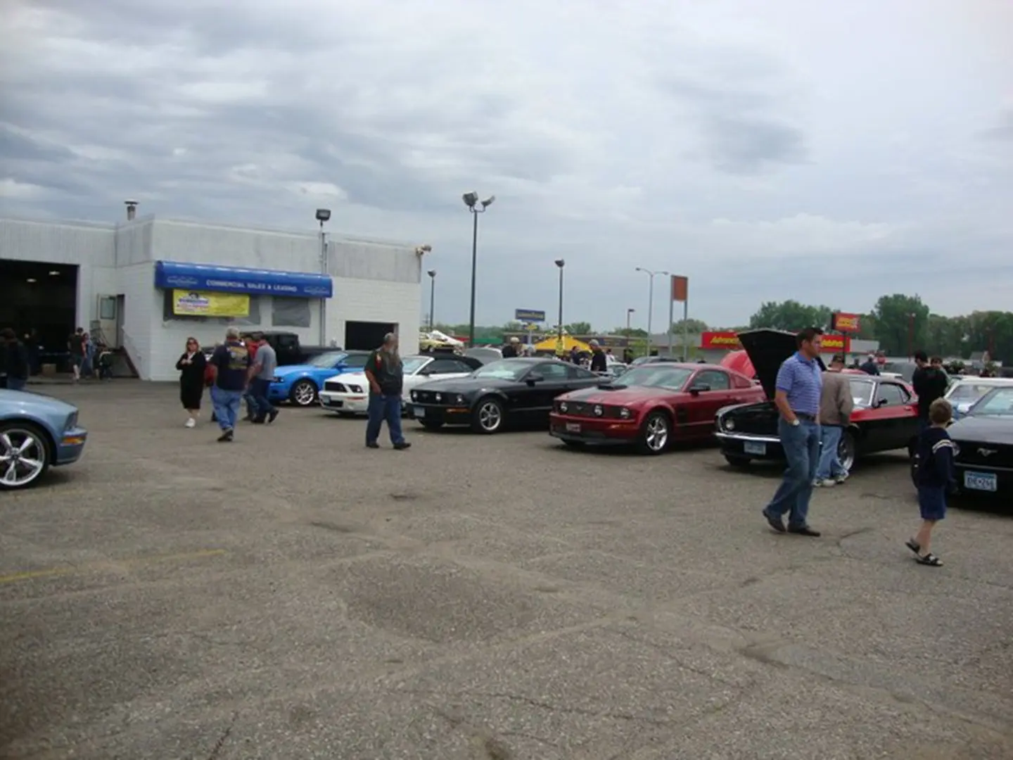 Classic cars displayed in parking lot
