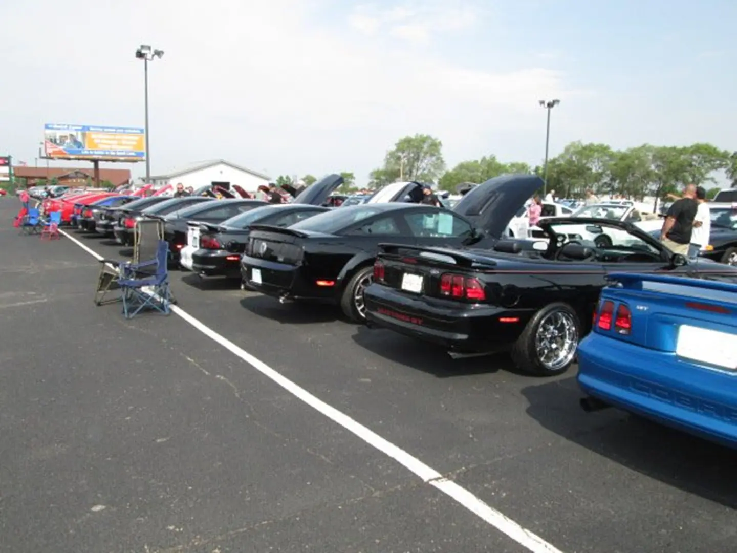 Convertible cars lined up outdoors