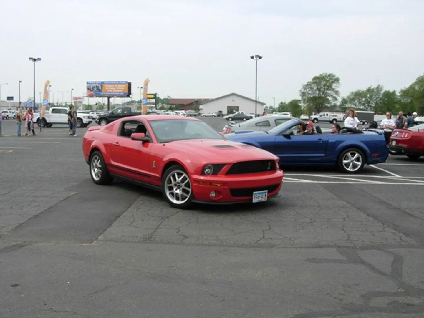Cars displayed at outdoor event
