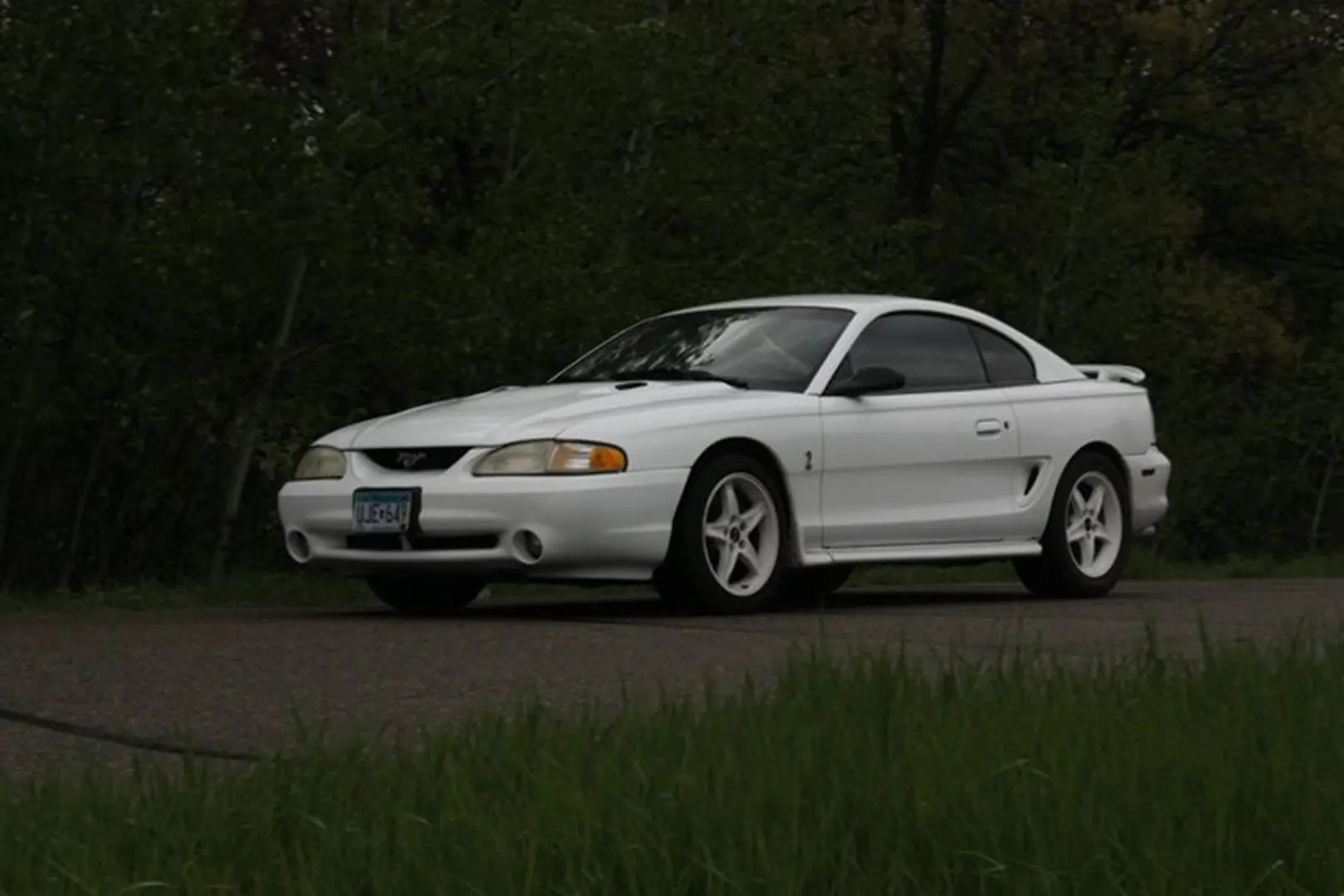 White coupe with trees background