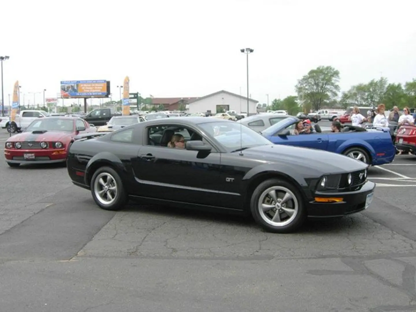 Black Mustang GT at car meet