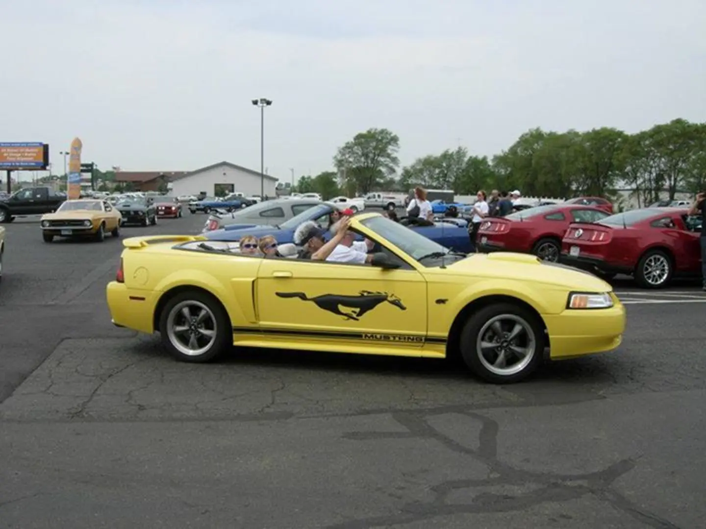 Classic Mustang parked with other cars