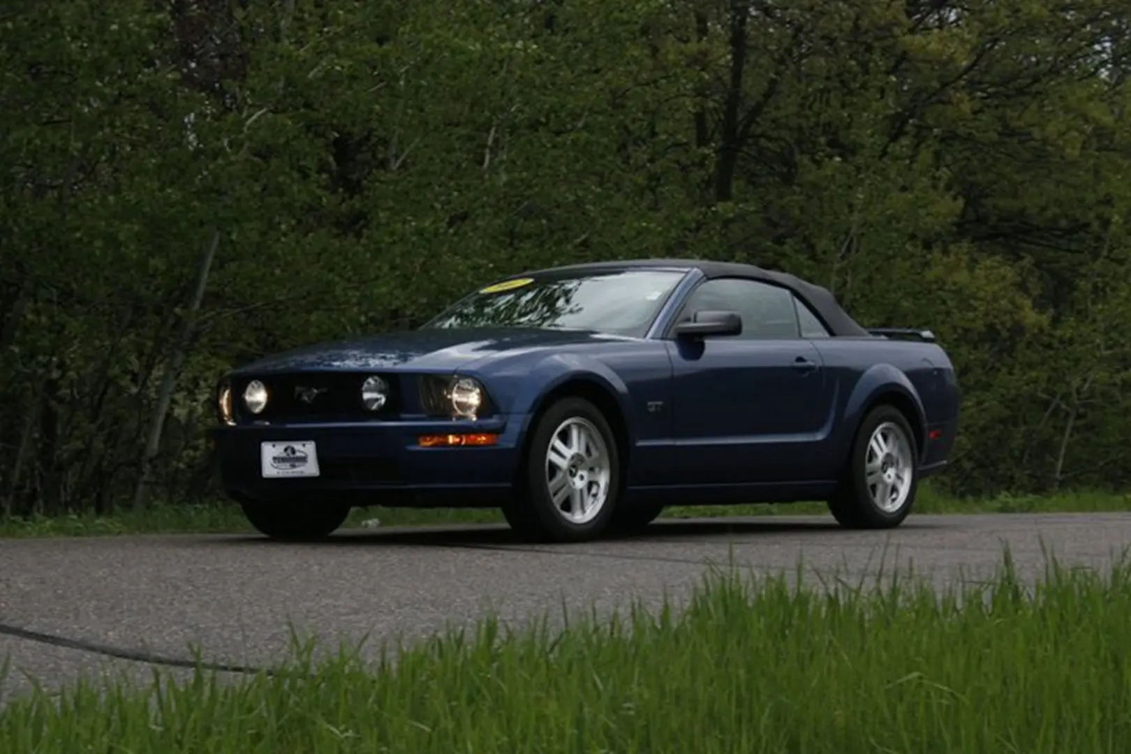 Sports car in lush green setting