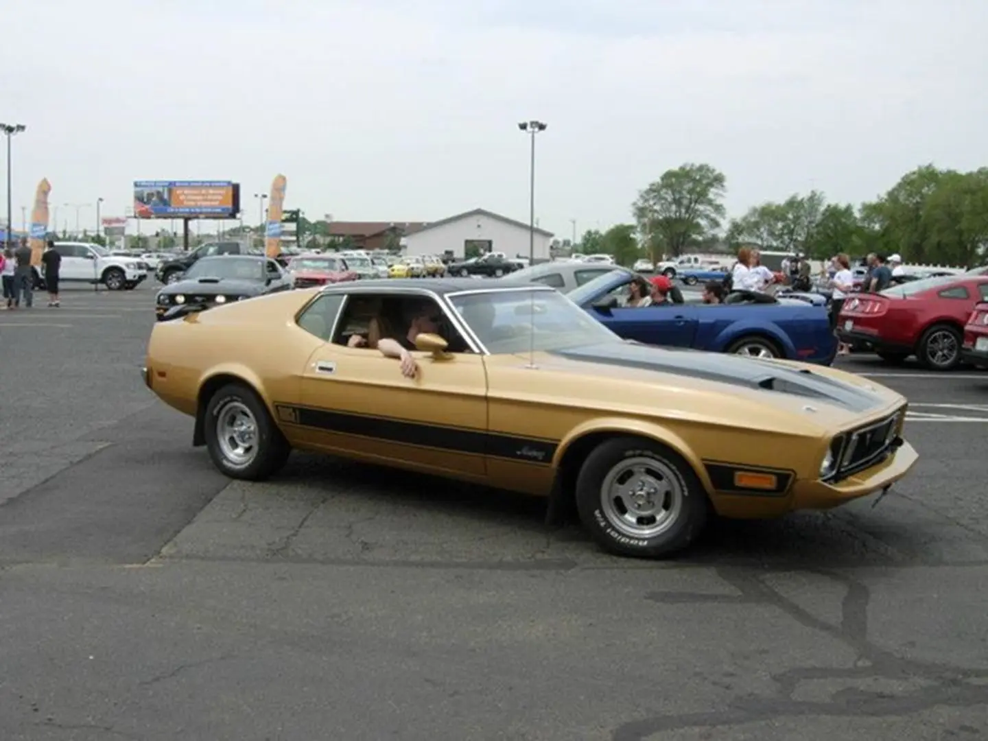 Vintage Mustang parked outdoors