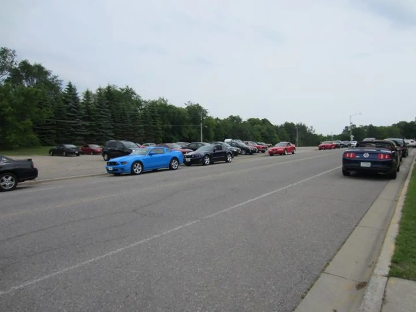 Cars parked along the roadside