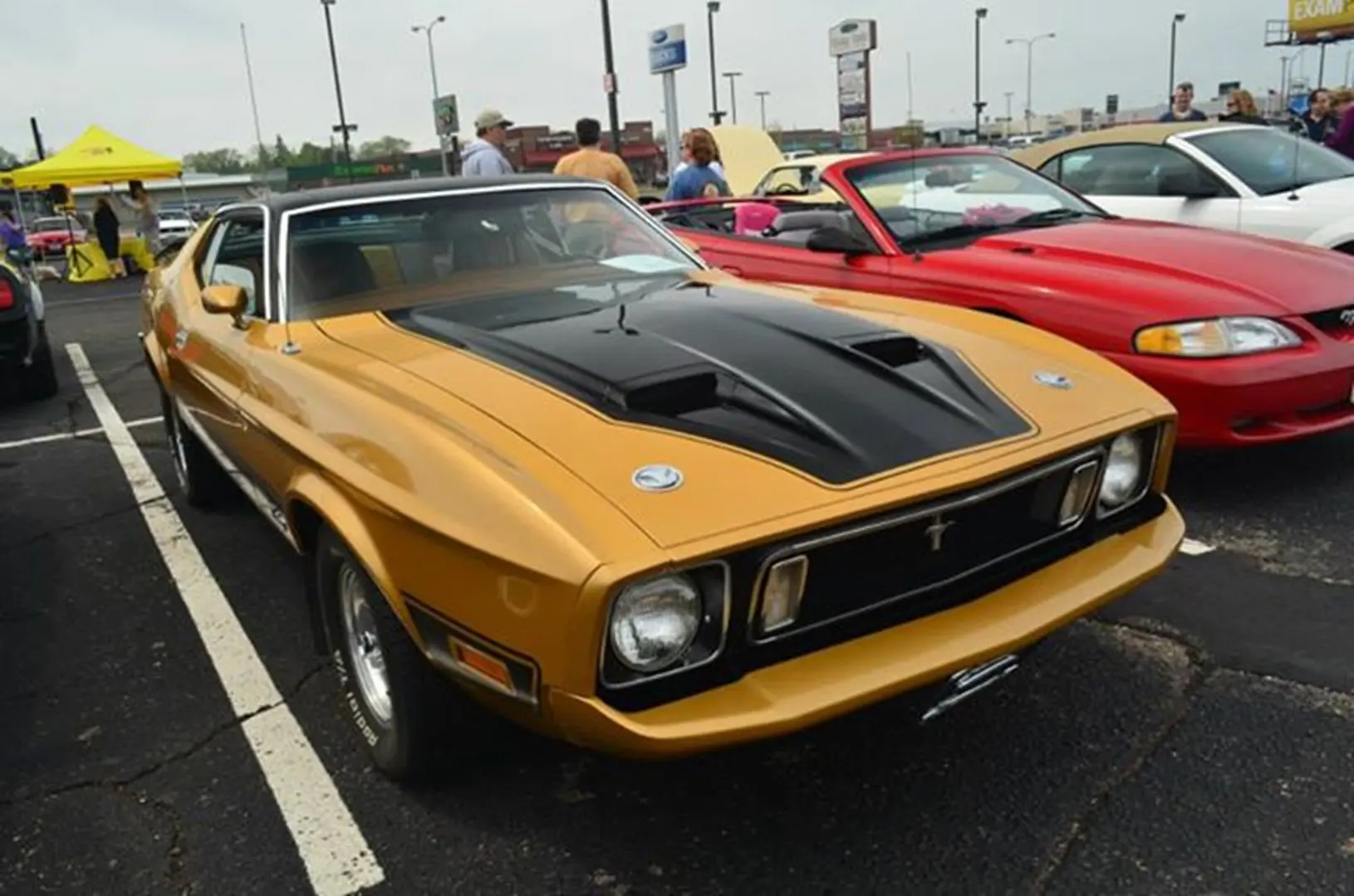 Vintage gold muscle car at car show