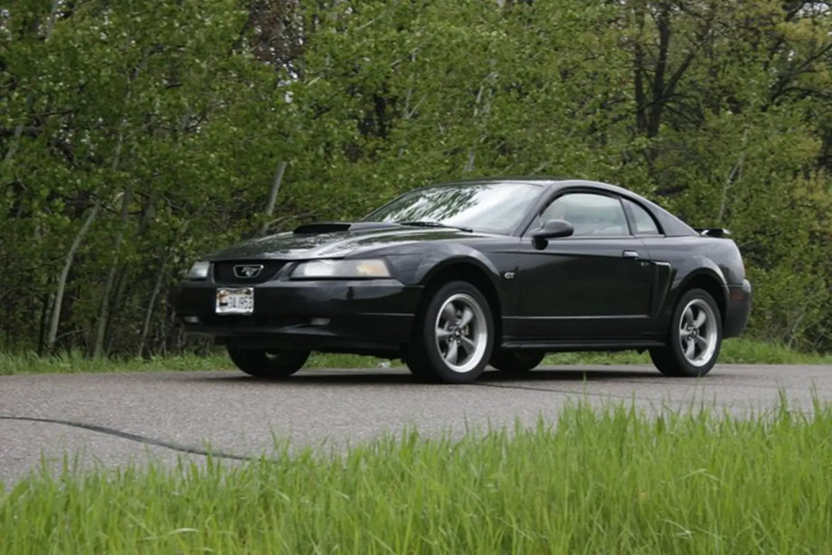 Sleek black car with forest background
