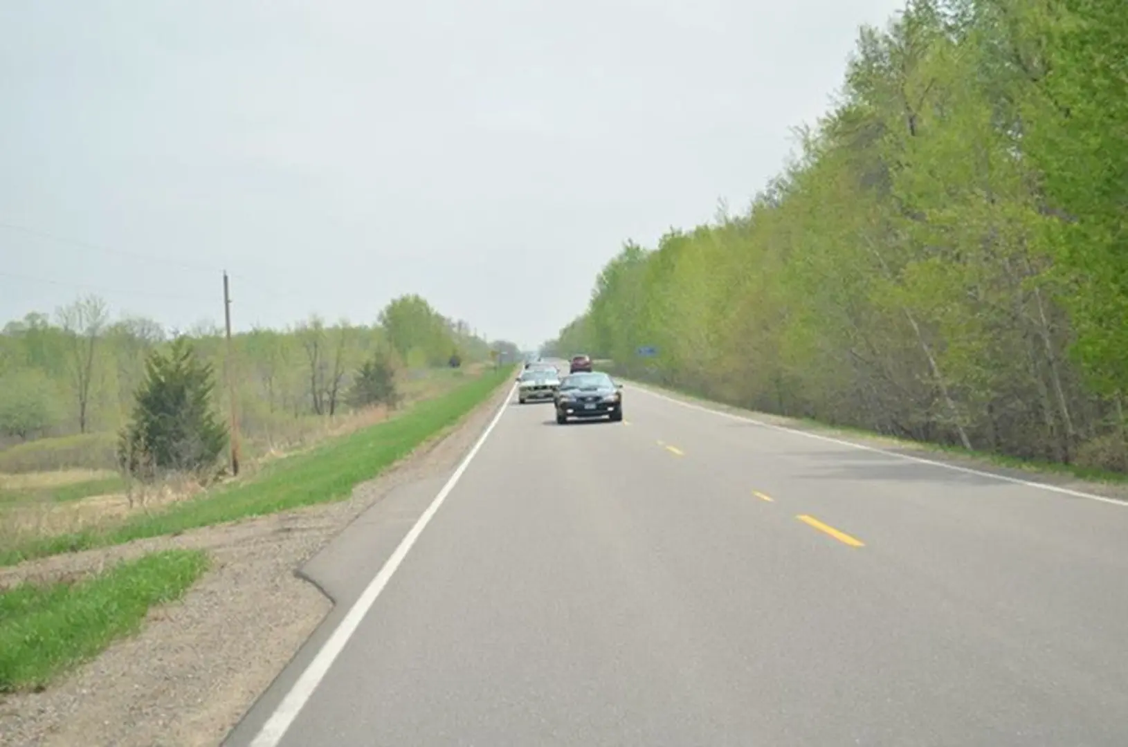Vehicles on a tree-lined highway