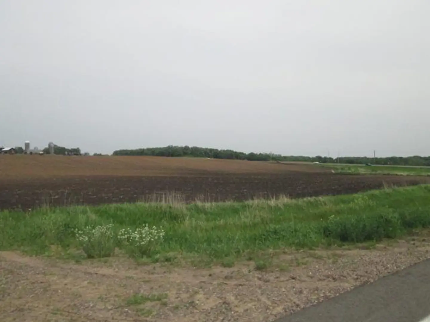 Empty field with distant trees