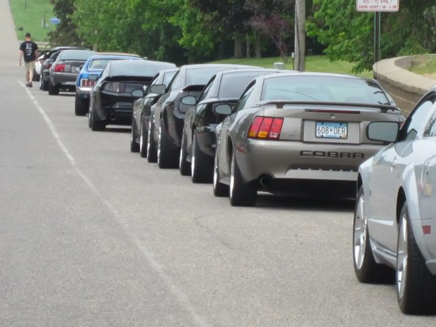 Classic cars lined up on street