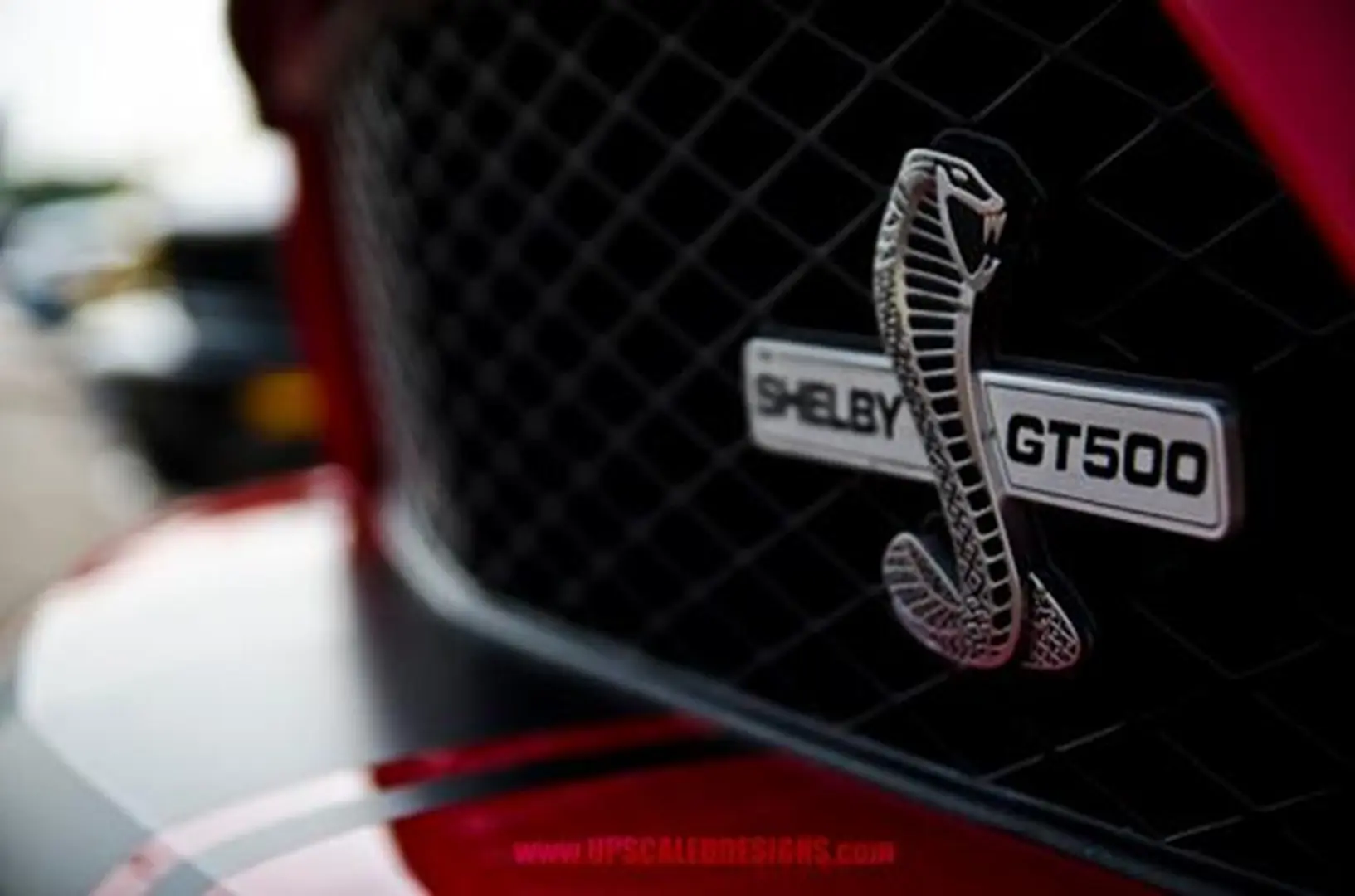 Cobra emblem on Shelby GT500