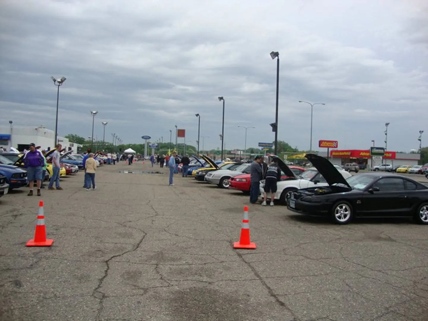 Cars displayed in parking lot event