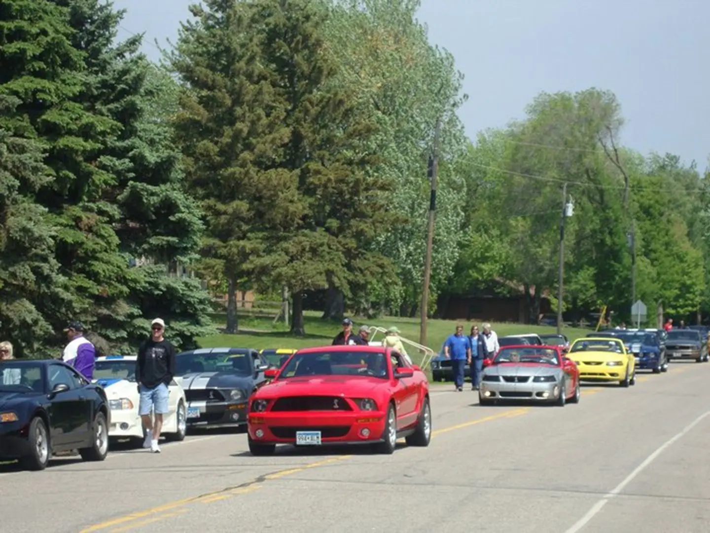 Cars lined up on a tree-lined street