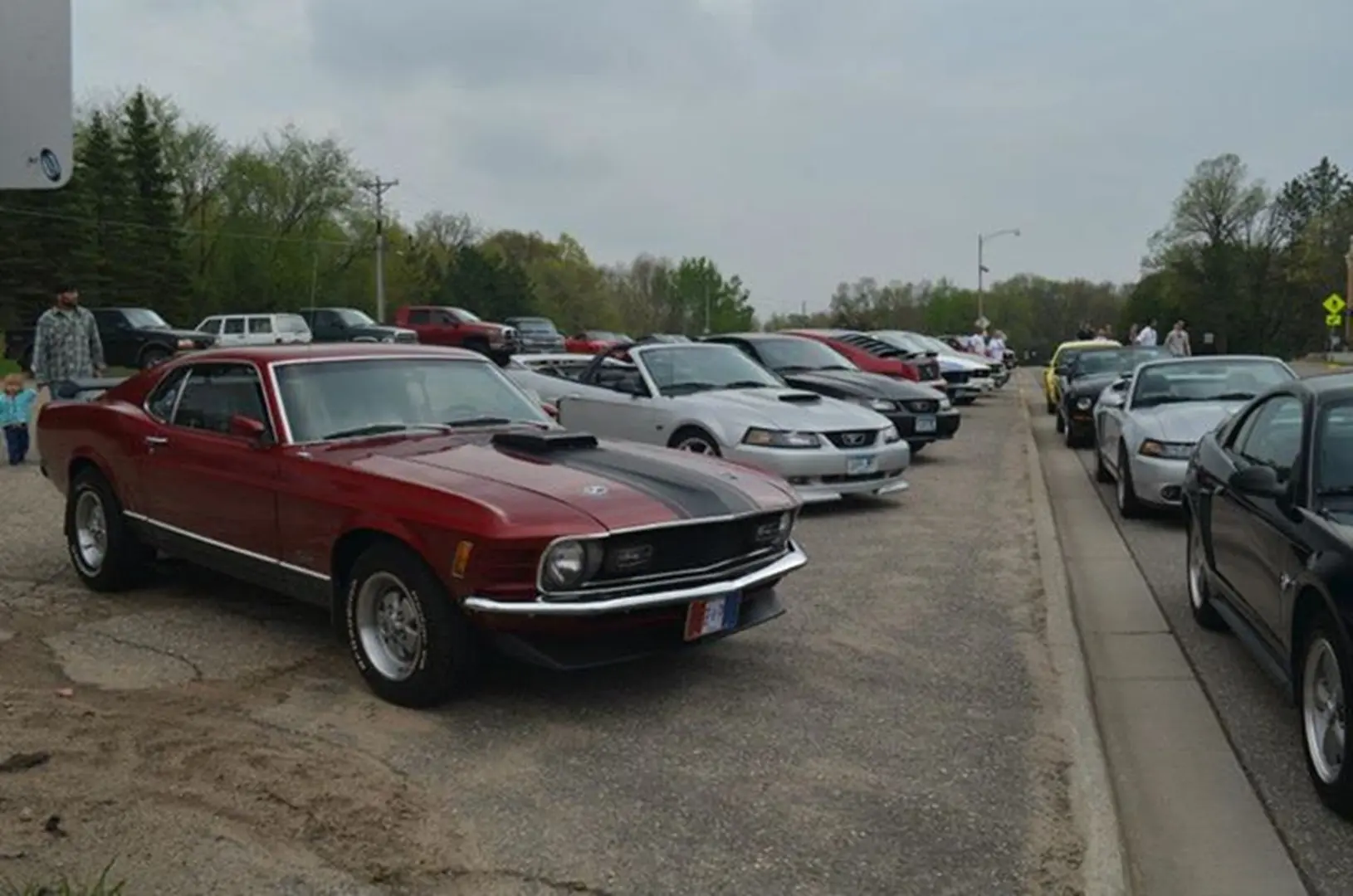 Classic cars parked on roadside
