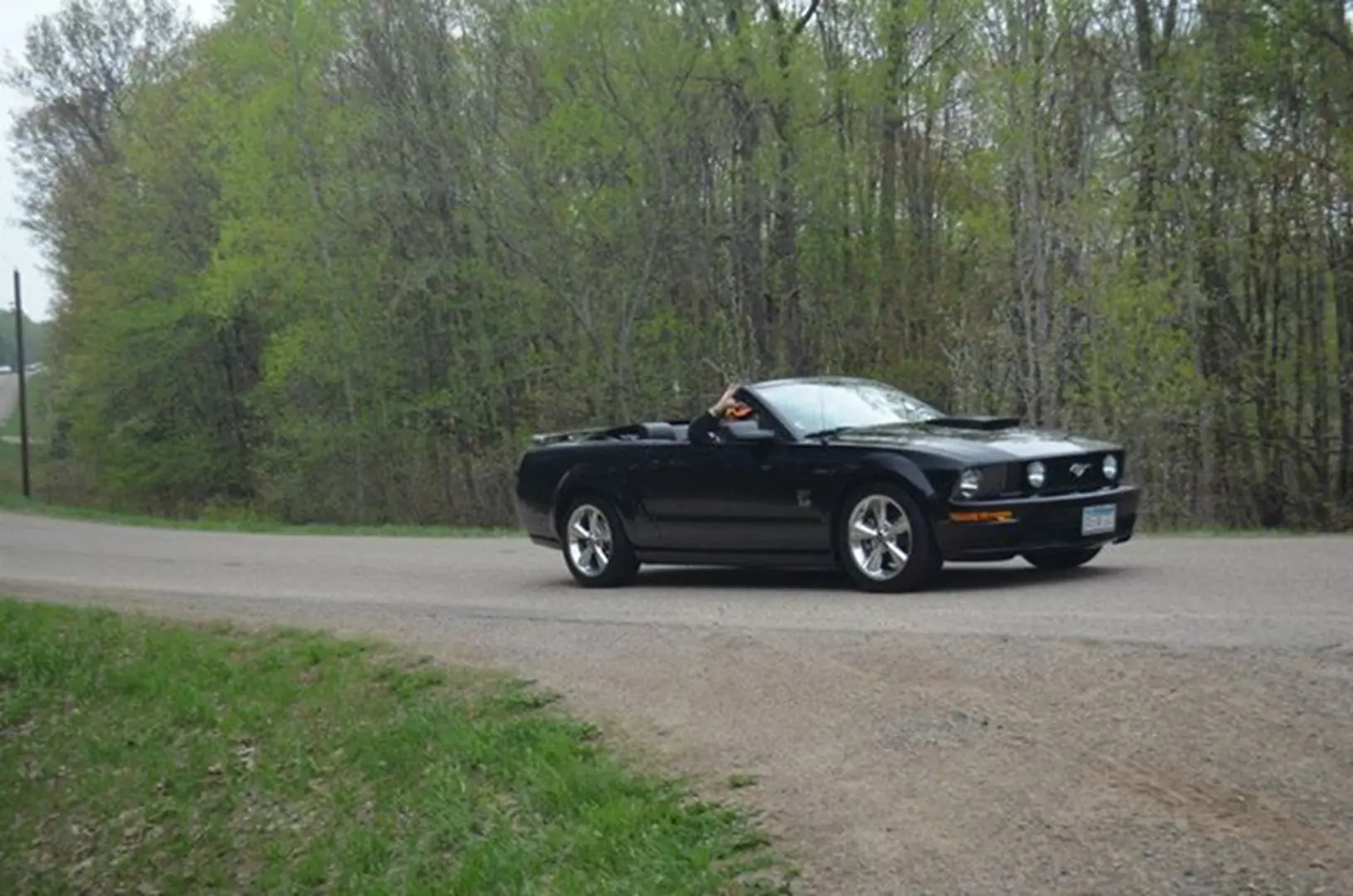 Sports car cruising through lush greenery