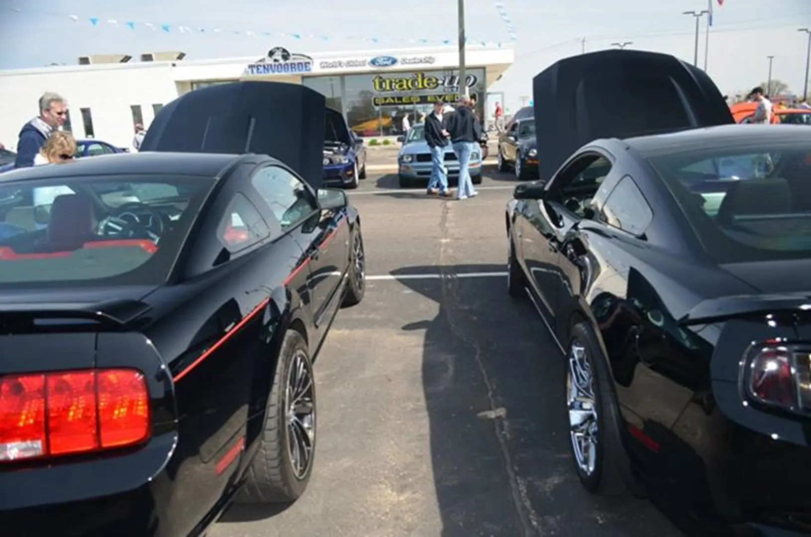 Black cars at a dealership event