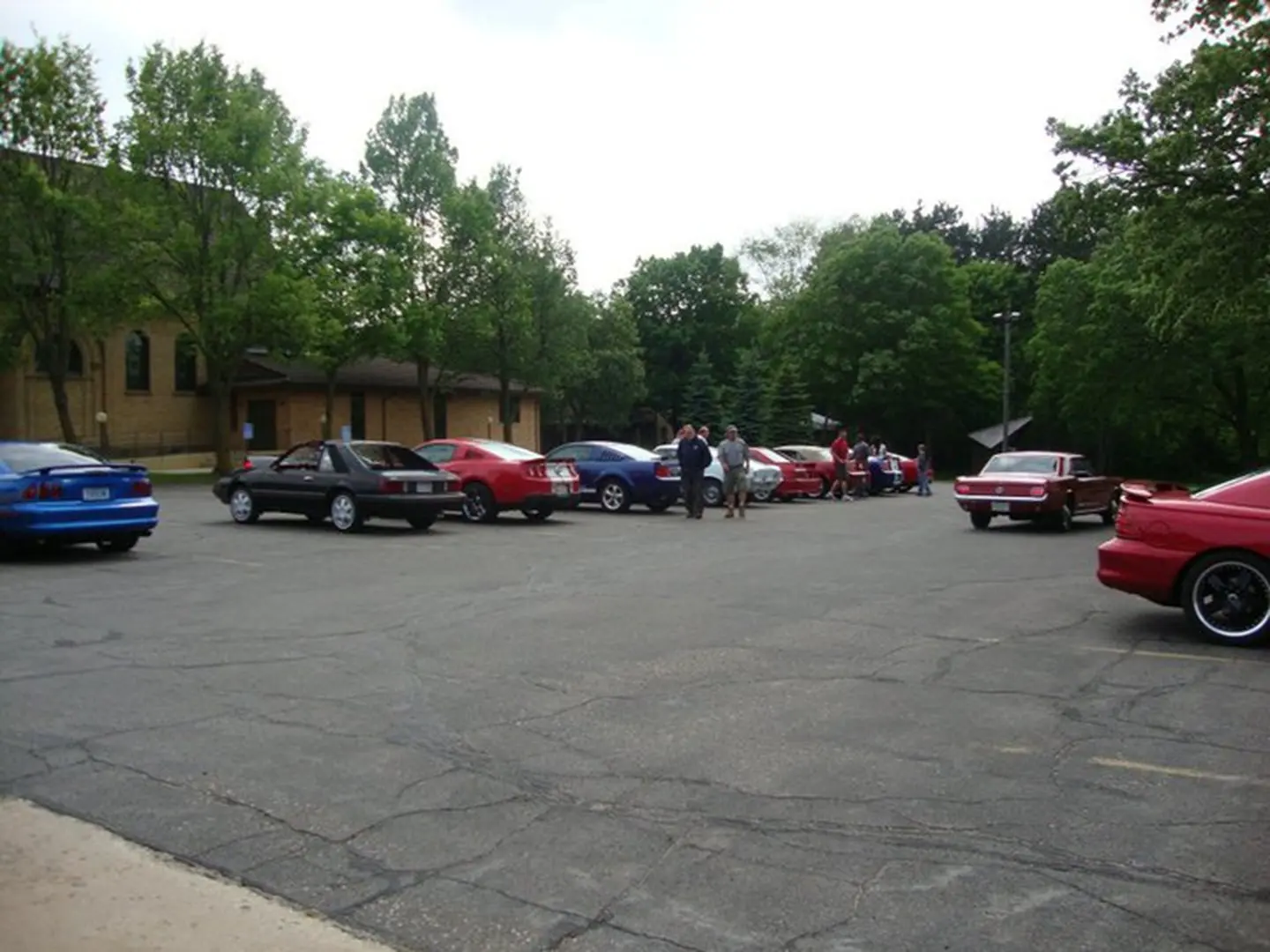 Cars parked in a lot