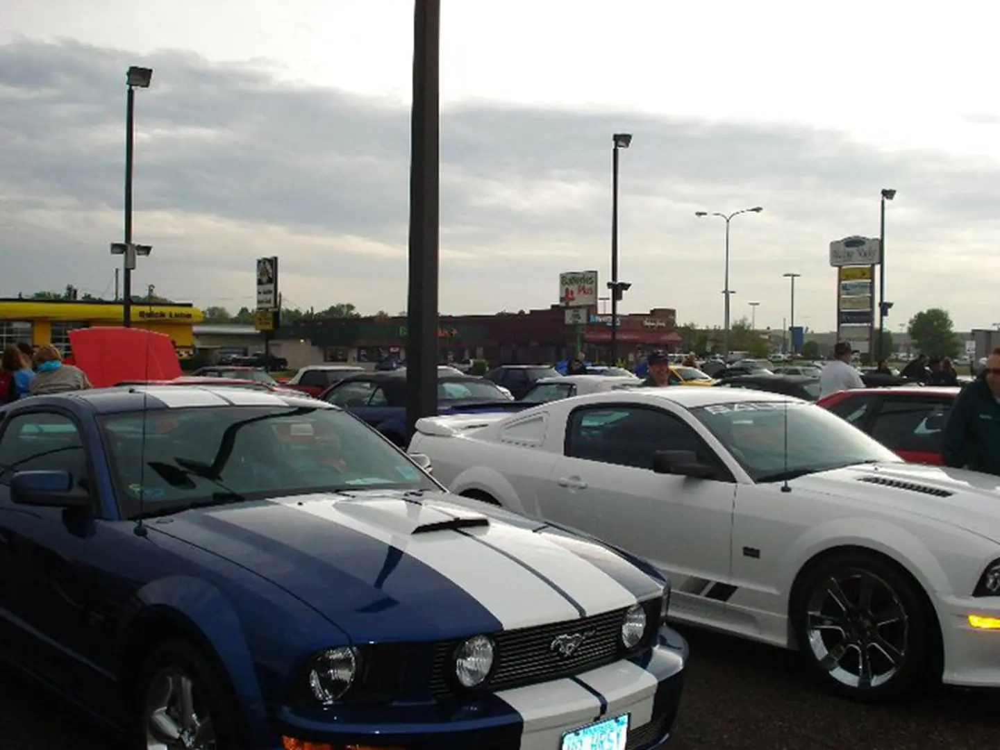 Blue and white sports cars parked outdoors