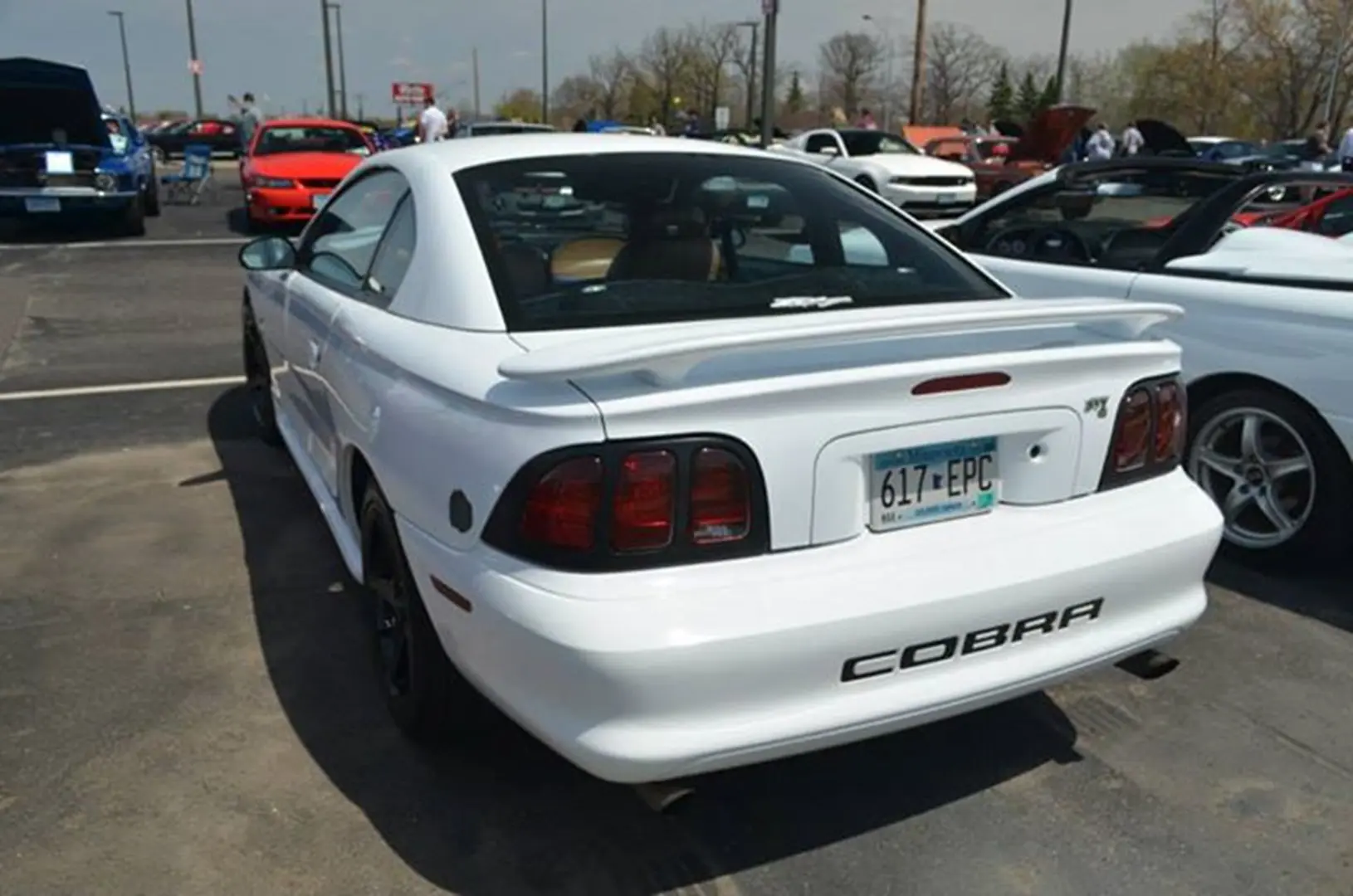 Rear view of white car