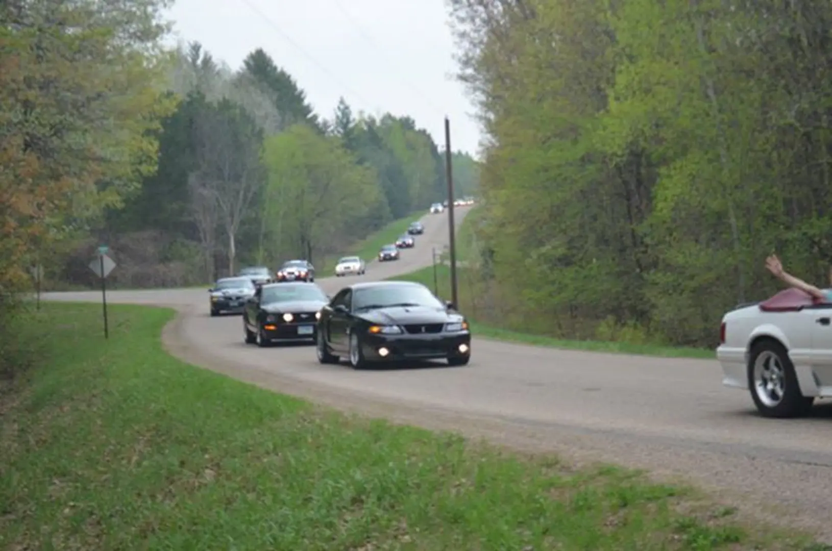 Vehicles traveling through a forested area