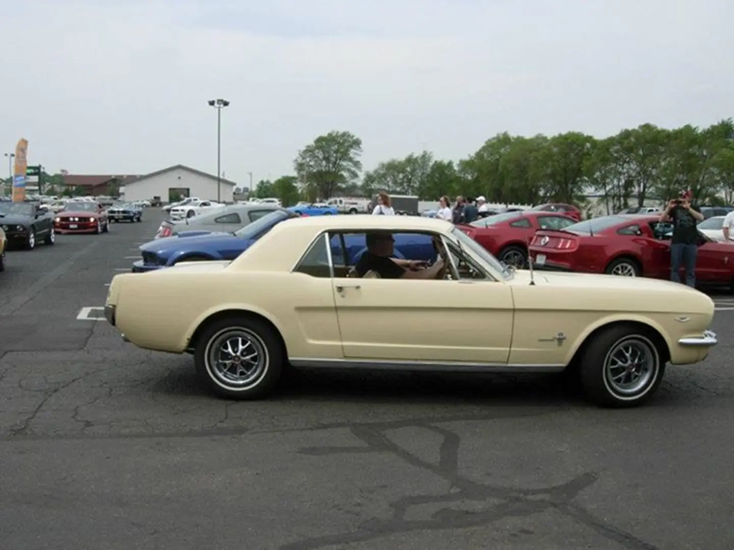 Classic cream car at outdoor auto show