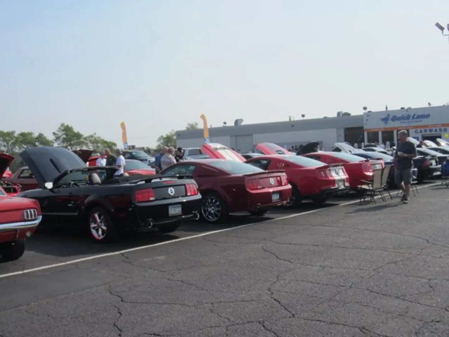 Car show with multiple Mustangs displayed