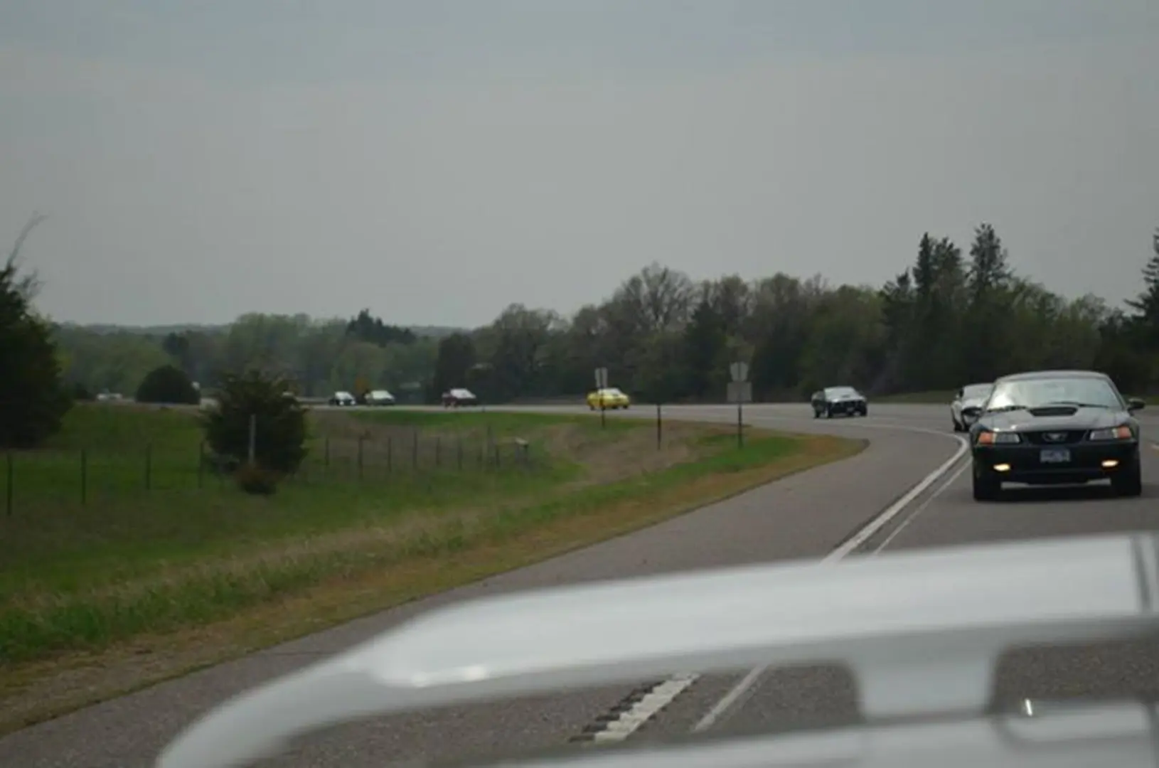 Vehicles cruising along a tree-lined route