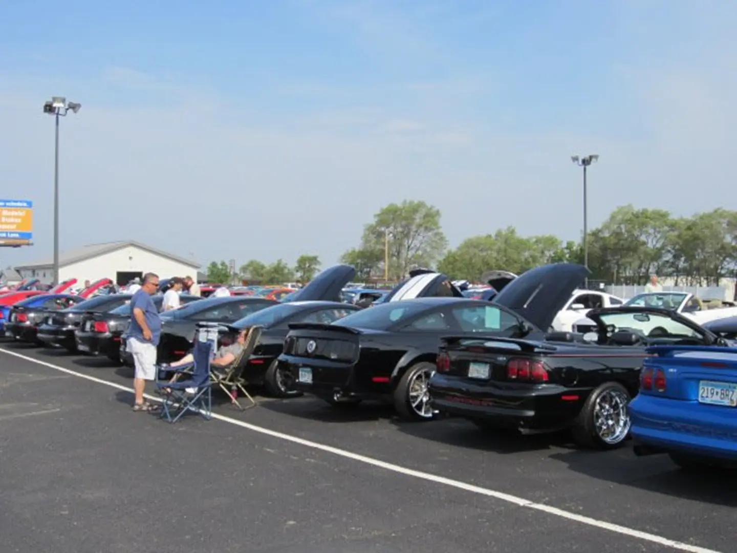 Car show with open hoods