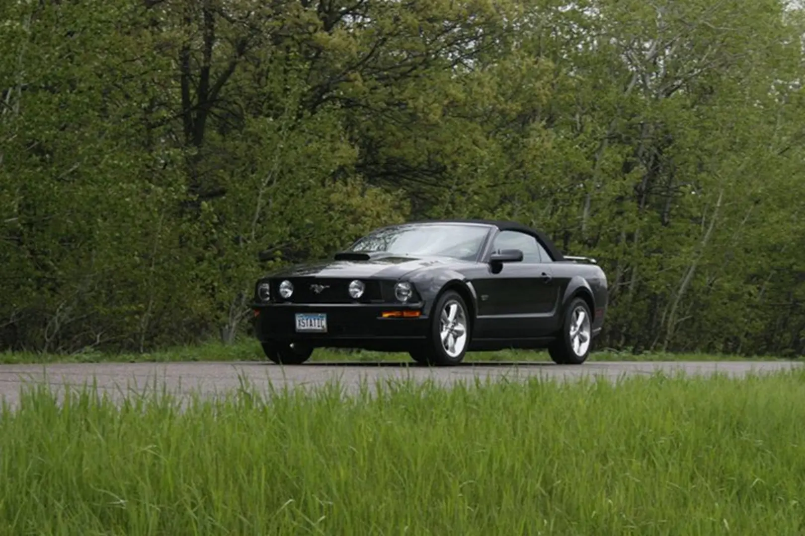 Sports car parked near lush greenery