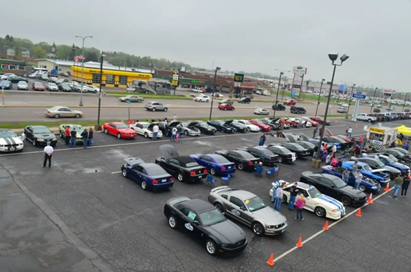 People viewing various parked cars