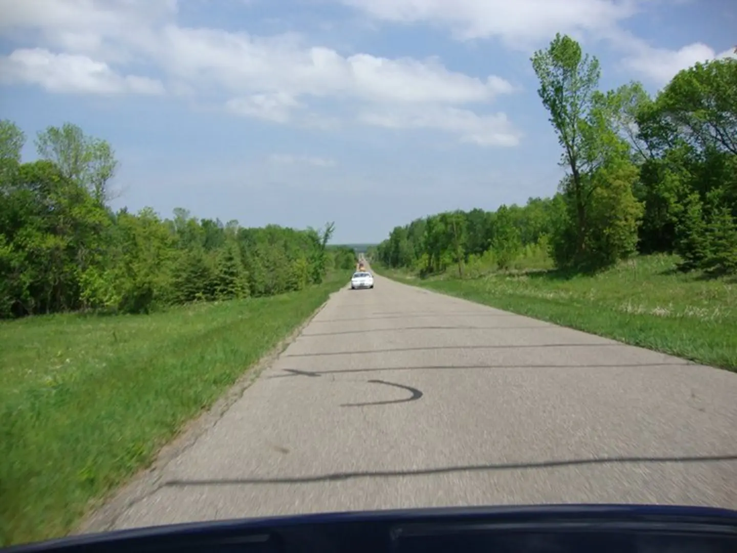 Tree-lined country road
