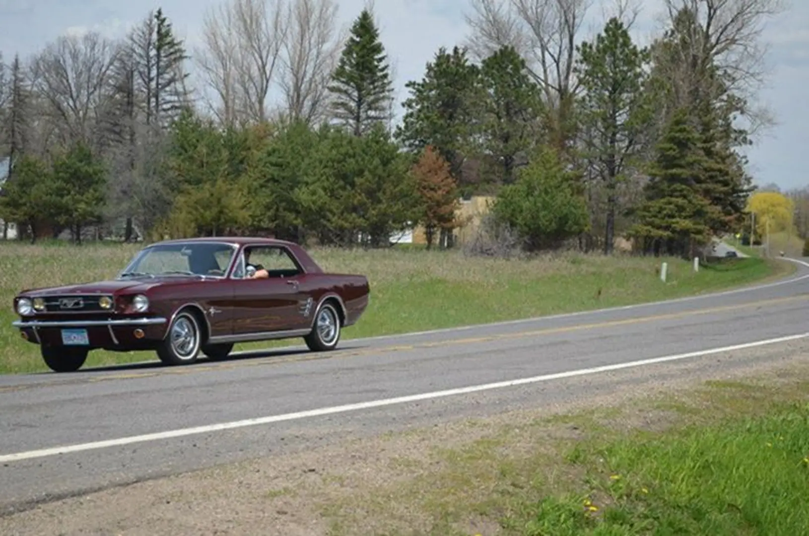 Vintage car cruising by green trees
