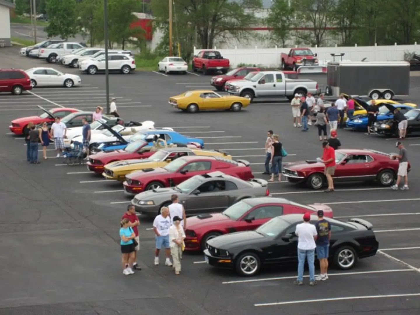 People admiring parked cars