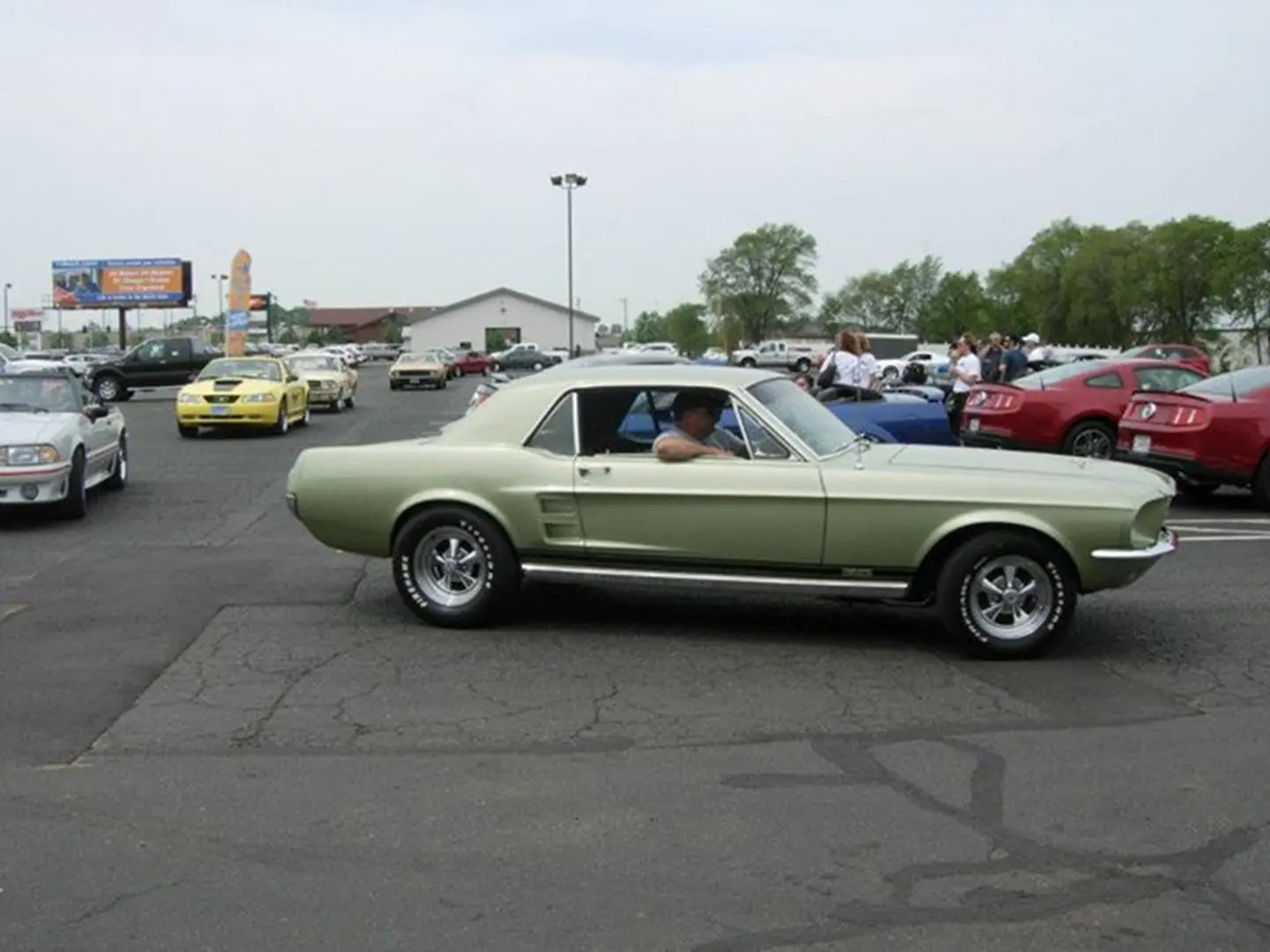 Vintage car in parking lot