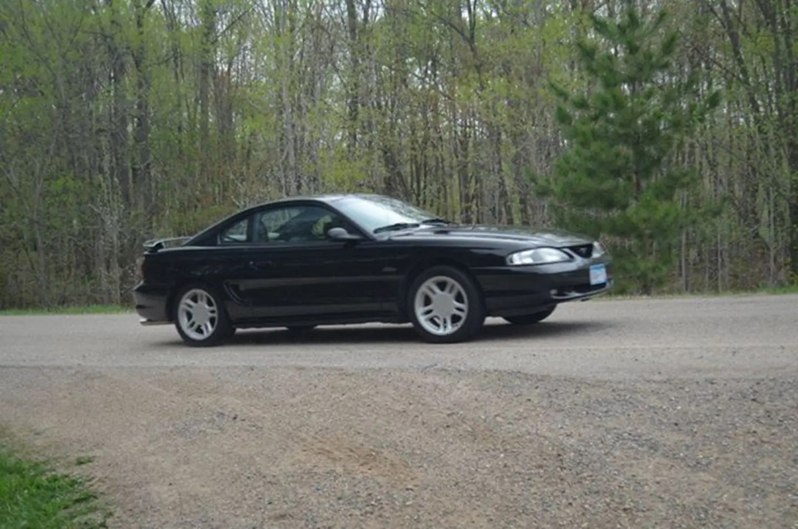 Classic car driving through forest