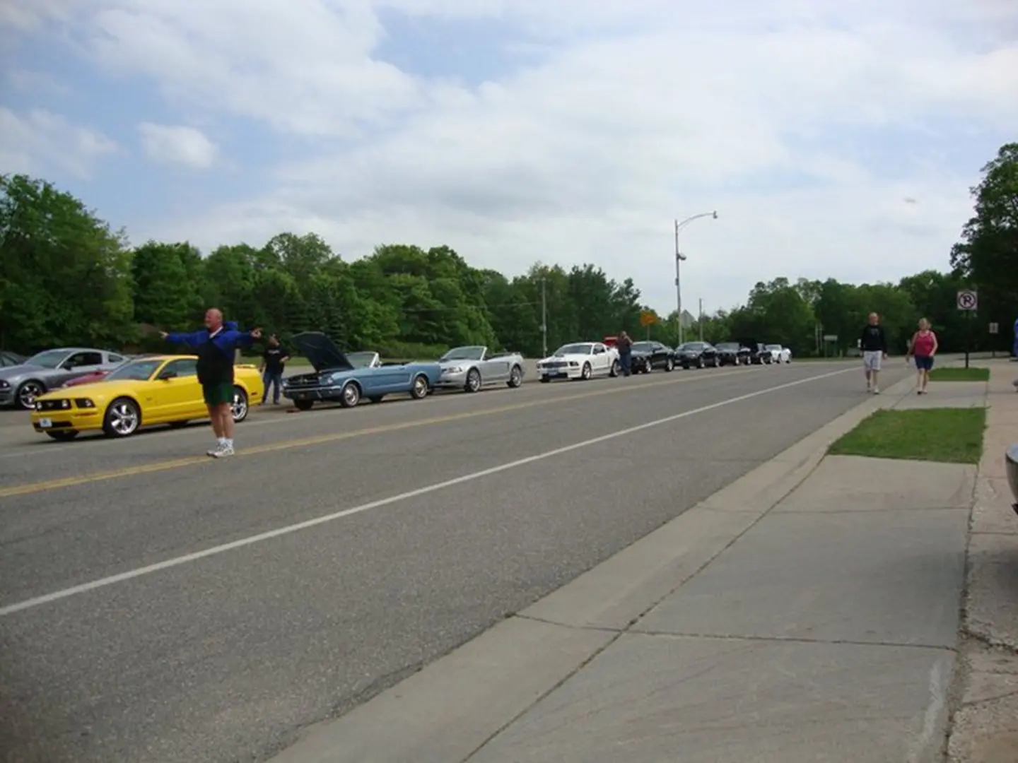 Cars lined up on roadside