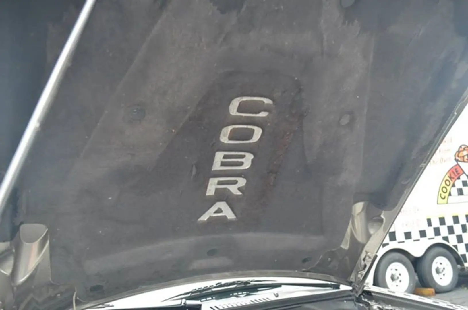 Vehicle hood displaying "Cobra" text