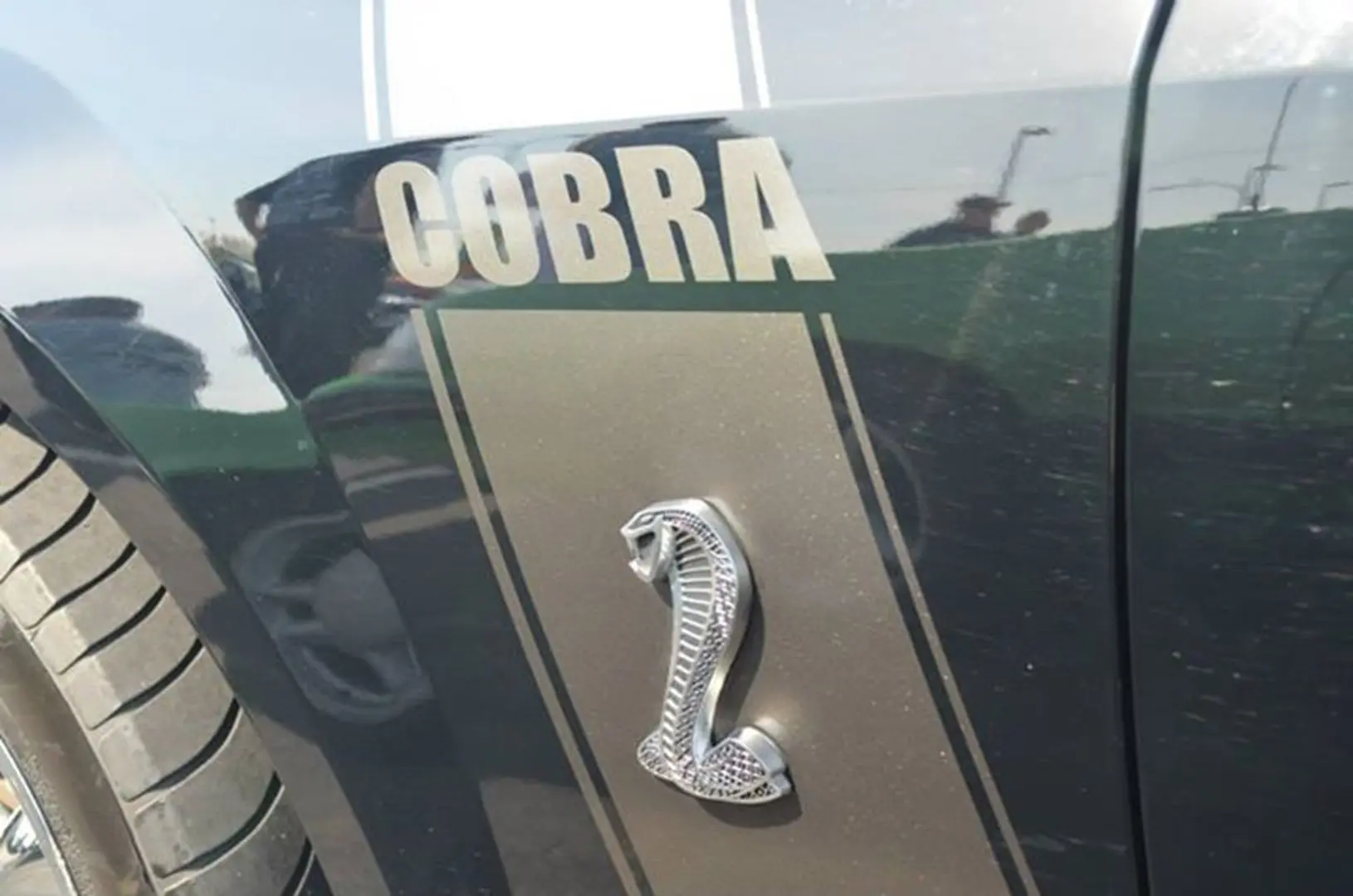 Snake logo on vehicle side