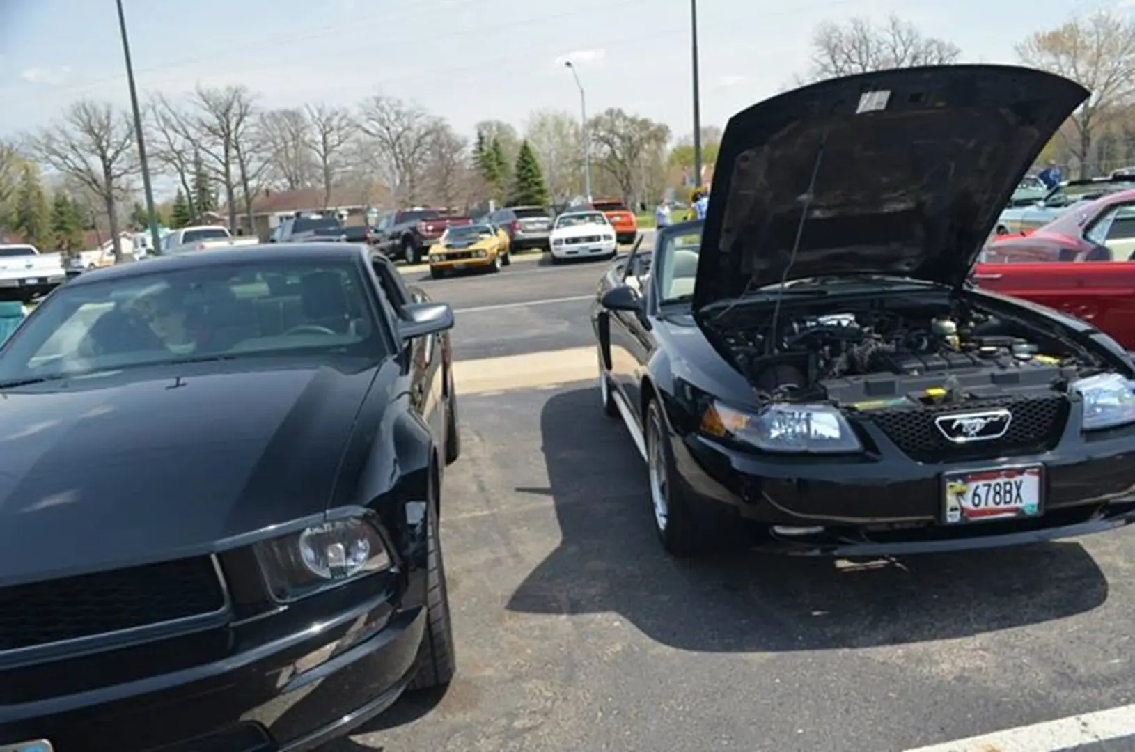 Cars parked outdoors, one with open hood