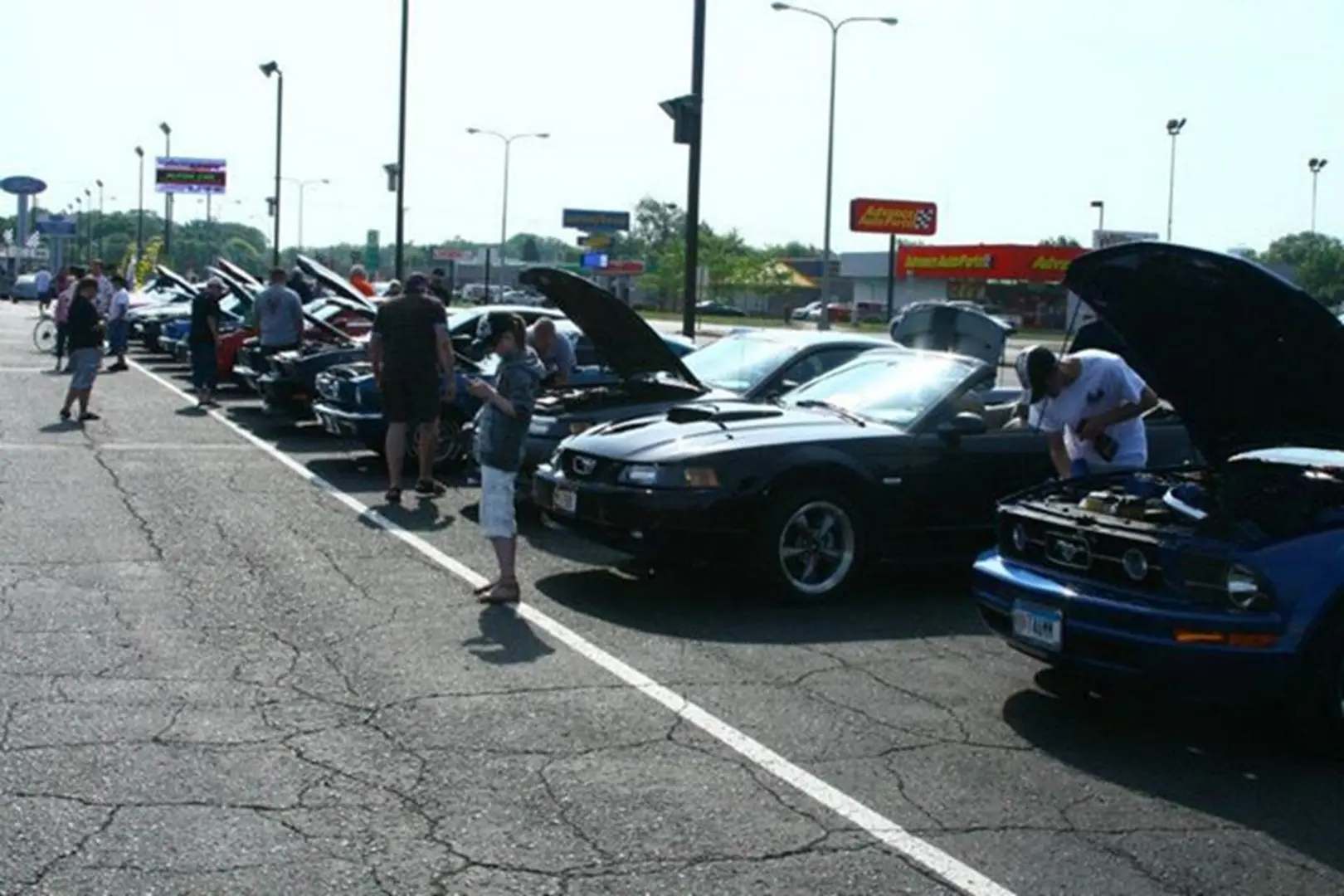 Car show with open hoods