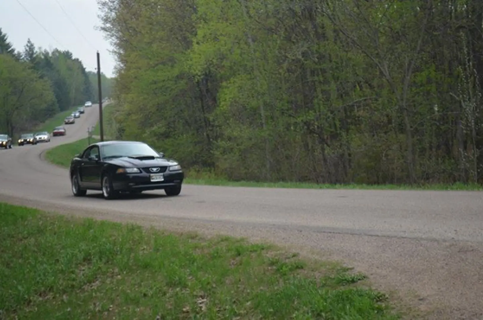 Scenic drive through forested countryside
