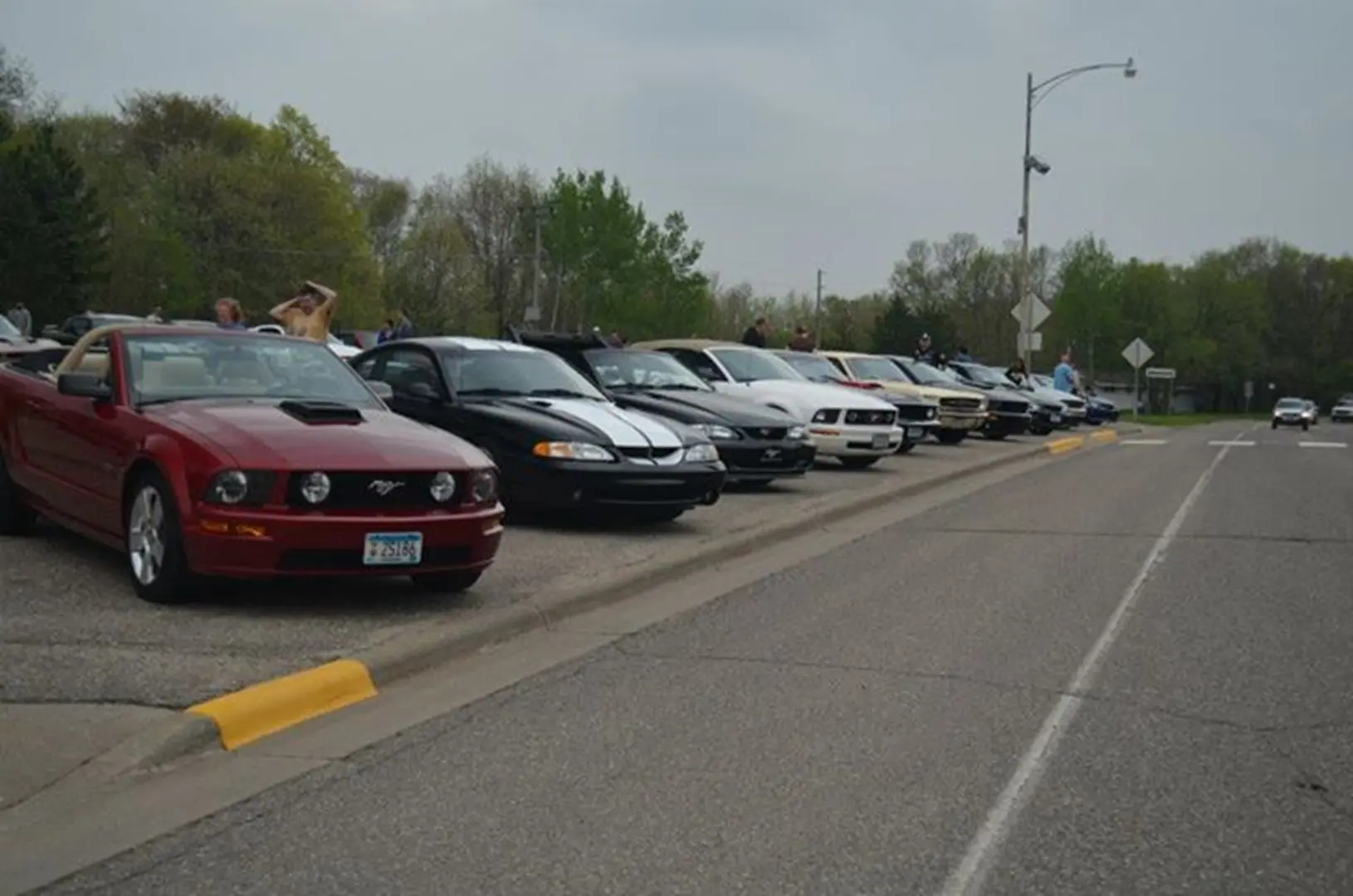 Row of parked cars on roadside