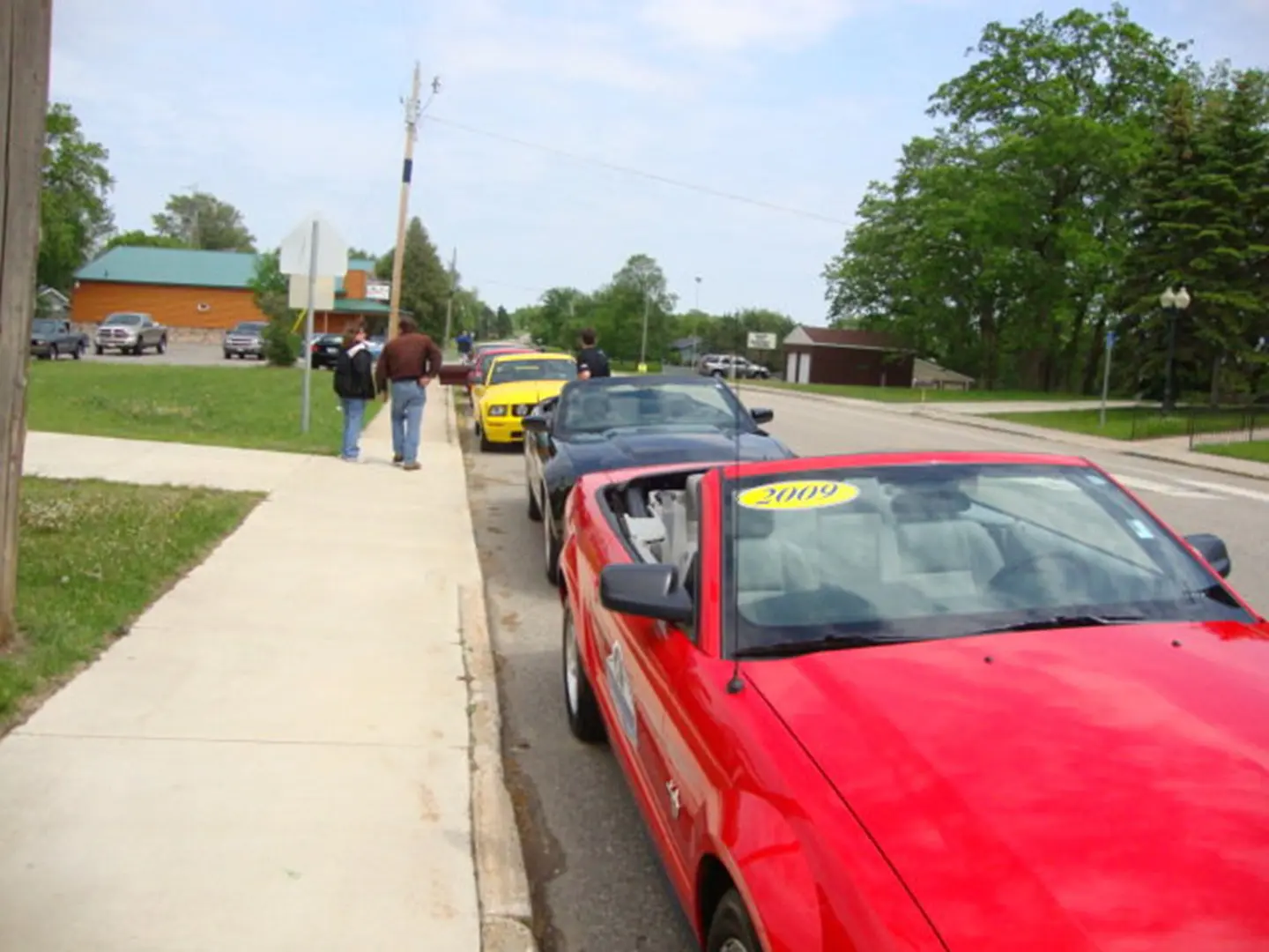 Cars lined up on roadside
