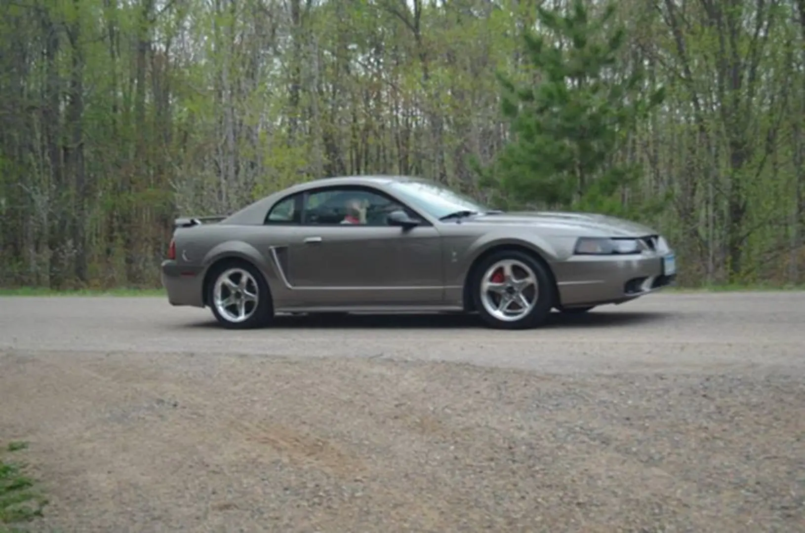 Grey car parked beside a forest